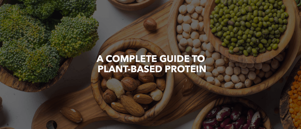 A COMPLETE GUIDE TO PLANT-BASED PROTEIN