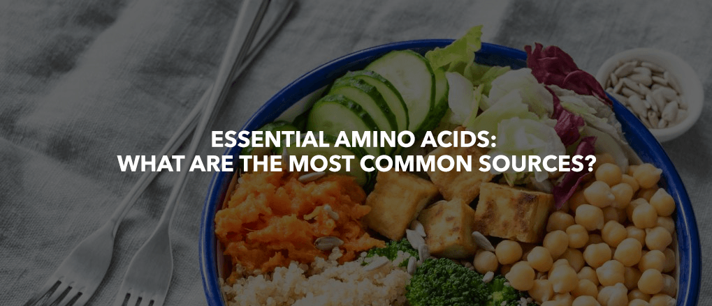 Essential Amino Acids: What are the most common sources?