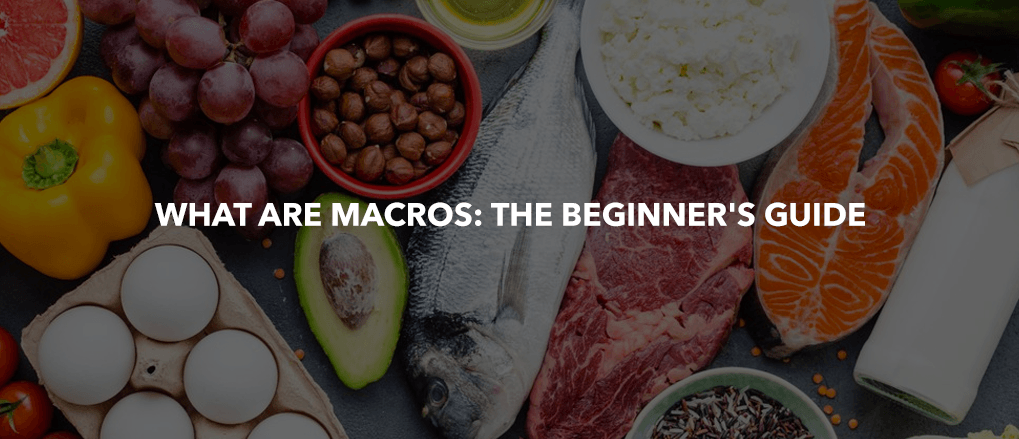 WHAT ARE MACROS: THE BEGINNER'S GUIDE