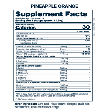 NATURAL AMINO 2.0 - NF Sports