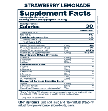 NATURAL AMINO 2.0 - NF Sports