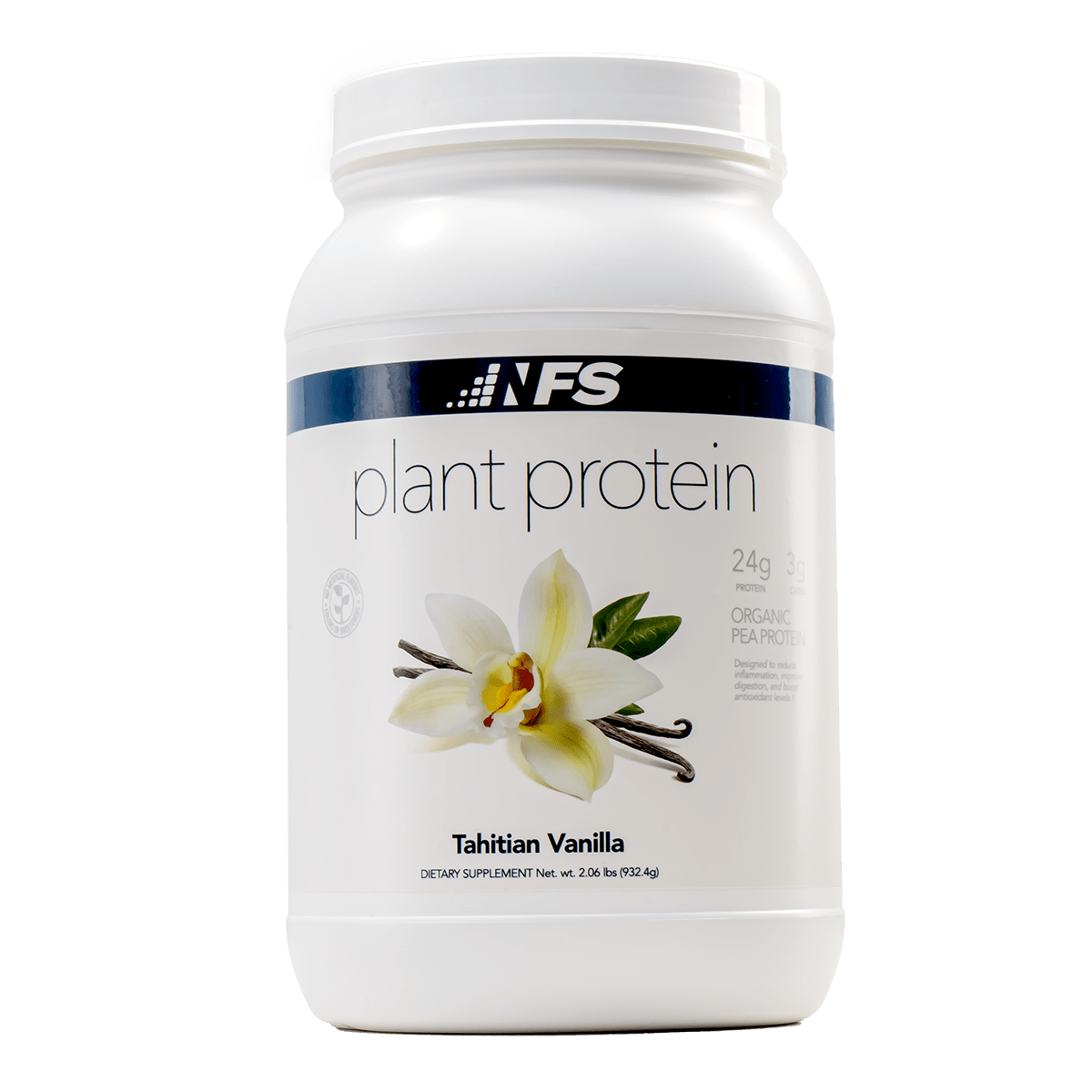 PLANT BASED PROTEIN