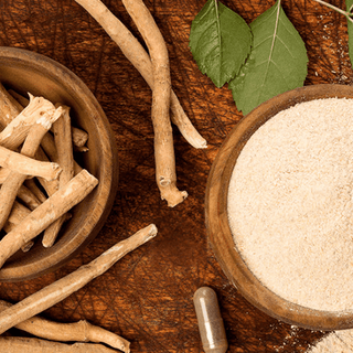 ASHWAGANDHA: A GUIDE FOR BEGINNERS - NF Sports