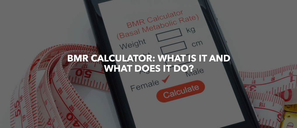 BMR Calculator: What is it and What does it do? – NF Sports