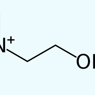 Choline: A Guide on What to Know - NF Sports