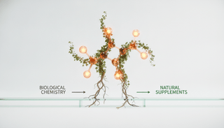 Do Testosterone Boosters Work? The Science Behind Natural Supplements - NF Sports