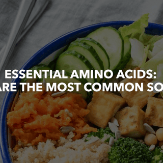 Essential Amino Acids: What are the most common sources? - NF Sports