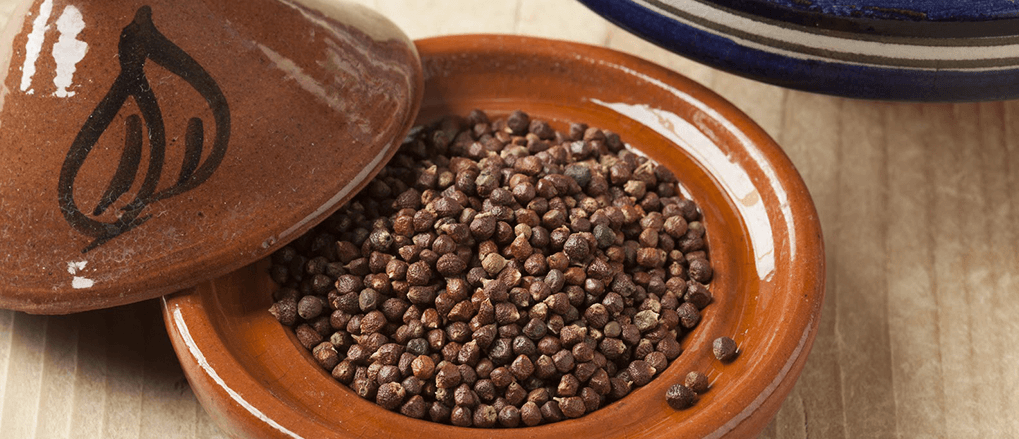 Grains of Paradise: Benefits and How They Work