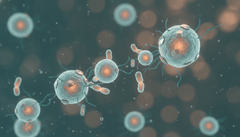 The Crucial Link Between Your Microbiome and Immune System