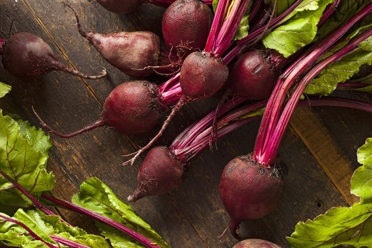 Health Benefits of Beets - more than just a colorful fruit – NF Sports