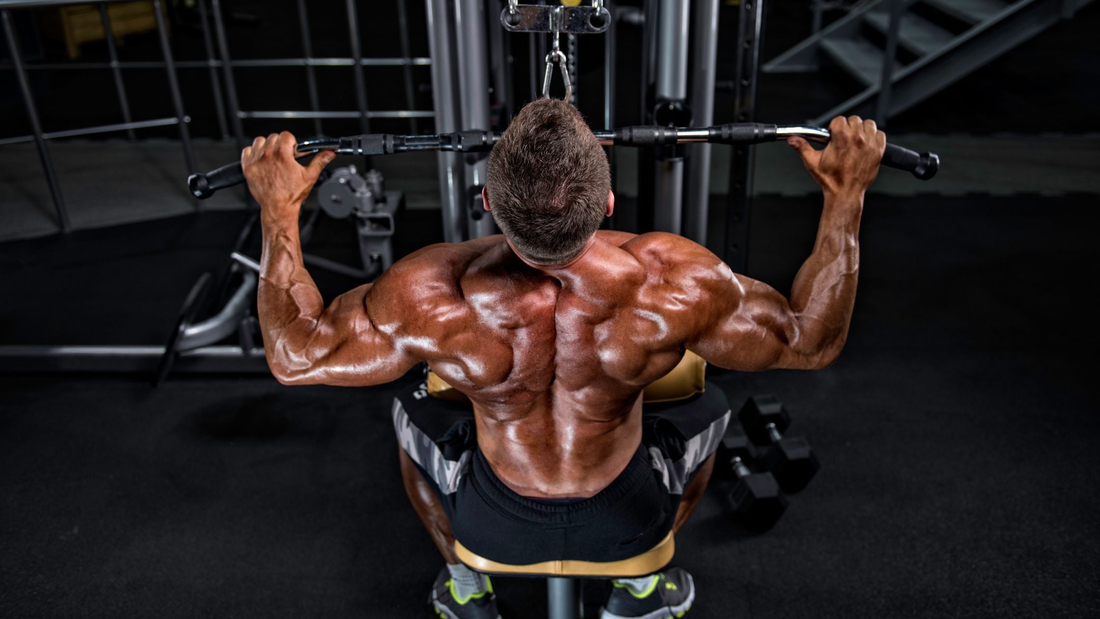 The Ultimate Back Workout for Building Strength and Size – NF Sports