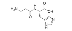 What is Carnosine, And How Does It Work?