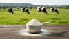 Why Grass Fed Whey Protein Powder Is the Best Choice for Your Health