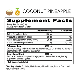 PRE - WORKOUT - NF Sports