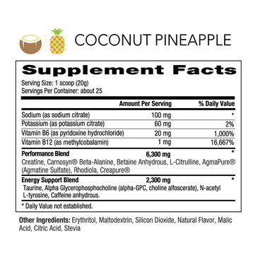 PRE - WORKOUT - NF Sports